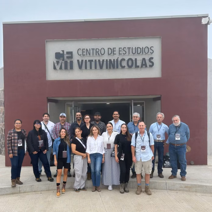 La formación en campo busca responder a los desafíos del vino mexicano desde el Valle de Guadalupe